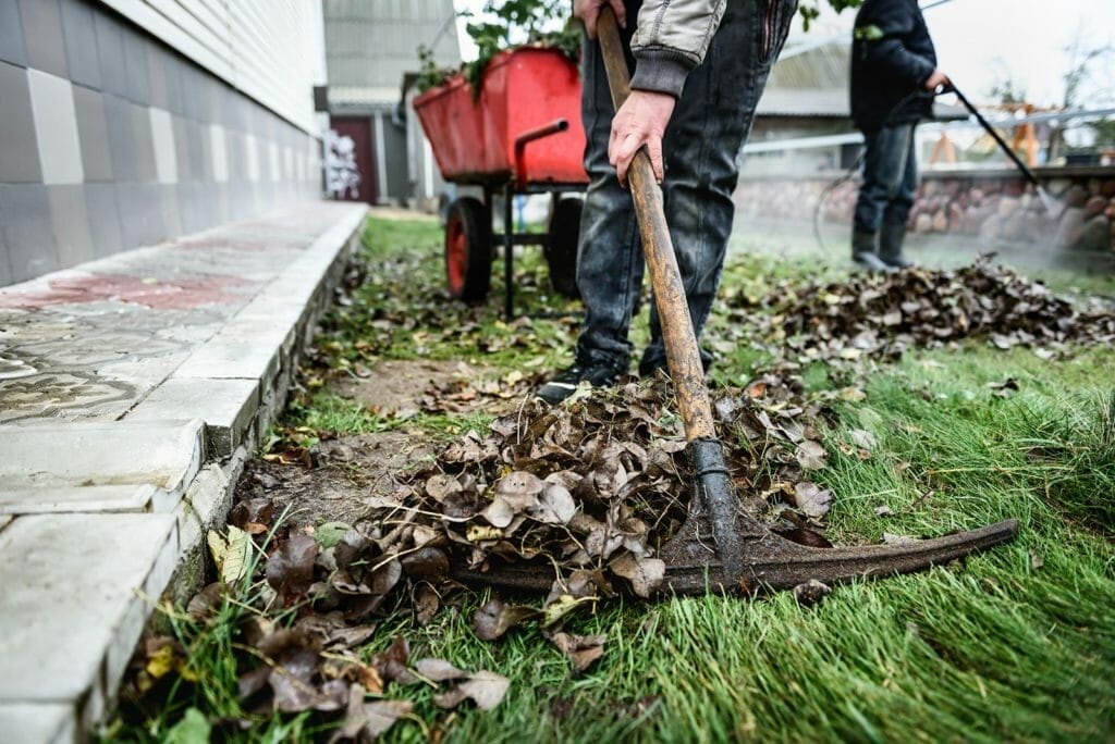 yard cleanup - Our Services